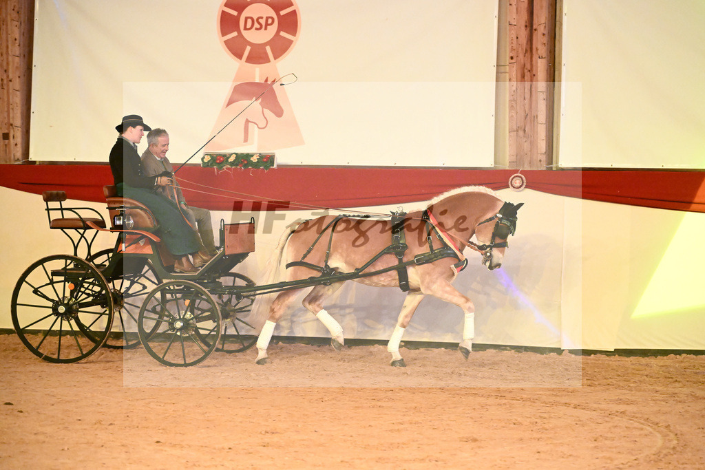 Nachtstolz_2242196 | hf-fotografie - Realisiert mit Pictrs.com