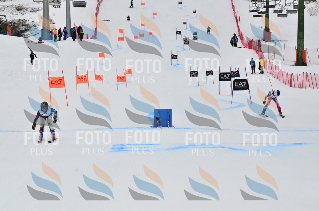 _ELE3736 | holidayphoto