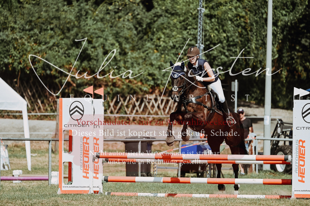 DSC_0010 | Pferde- und Turnierfotografie in Westsachsen. Pferdeportraits, Auftragszeichnungen und intuitive Kunst.