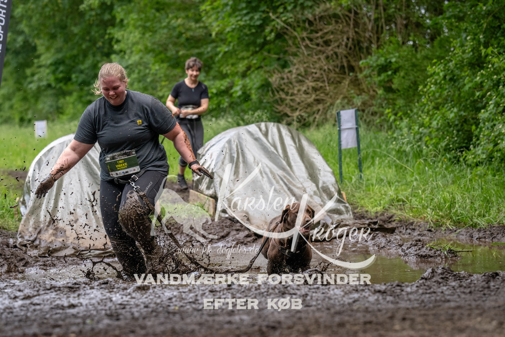 1536_ZZ94422 | kk-dogfotos