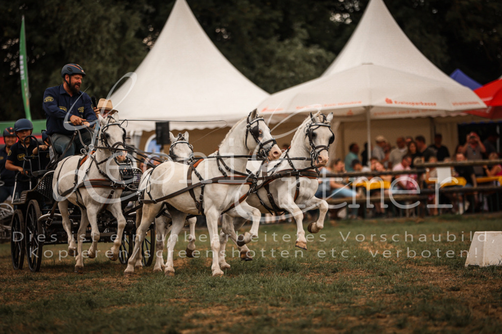 SoShow00311 | Leoni Ertmer Photography - Realisiert mit Pictrs.com