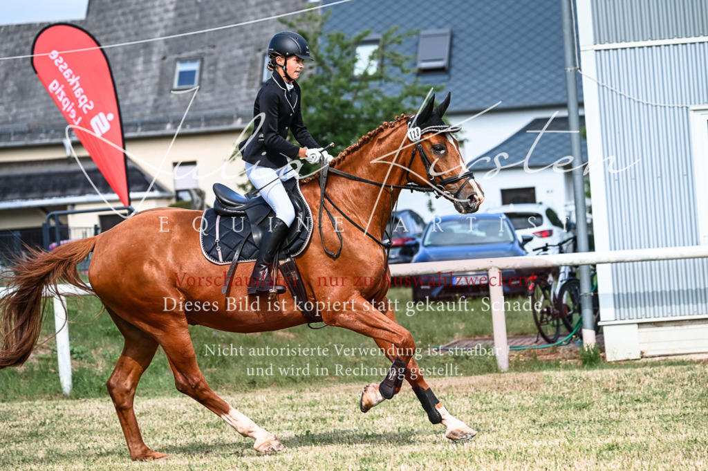 DSC_7969 | Pferde- und Turnierfotografie in Westsachsen. Pferdeportraits, Auftragszeichnungen und intuitive Kunst.