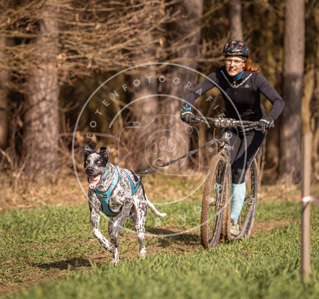 DV3A6091 | Hundefotografie, Tierfotograf, Pfotenfotografie, Fotoshooting Hund, Hunde Portrait, Hundesport, Hundeportraits, Heideshooting, Hunde, Sportfotograf, Hundefotograf, Turnierhundsport, THS,  - Realisiert mit Pictrs.com