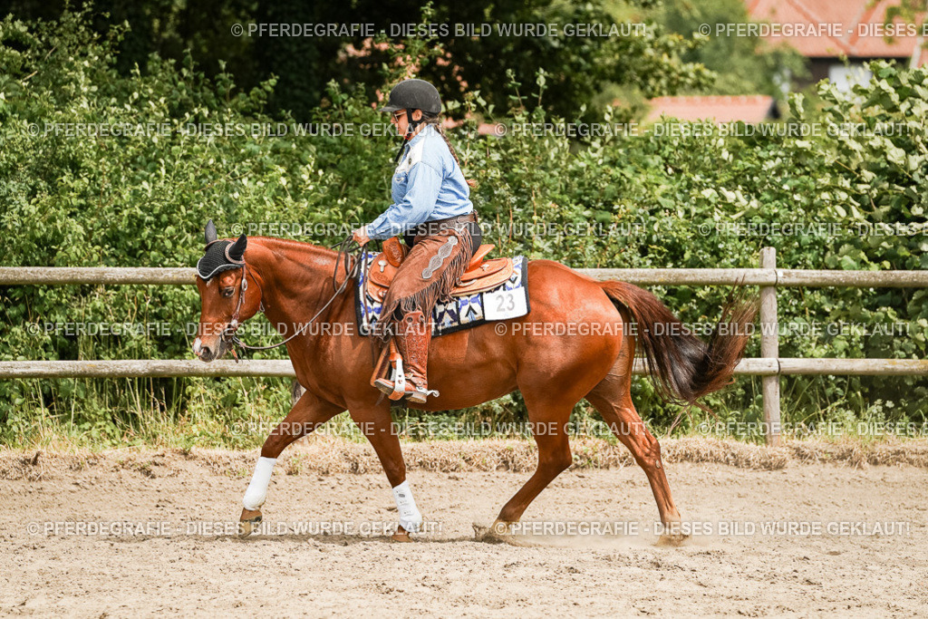 DSC00062 | Pferdegrafie