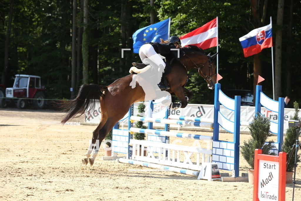 DL2Q0833 | Willkommen bei Brunnmayr - Design & Fotografie – Ihrem Spezialisten für Reitturniere und Pferdeveranstaltungen in Oberösterreich, Salzburg und Bayern! Seit über 17 Jahren sind wir leidenschaftlich dabei.