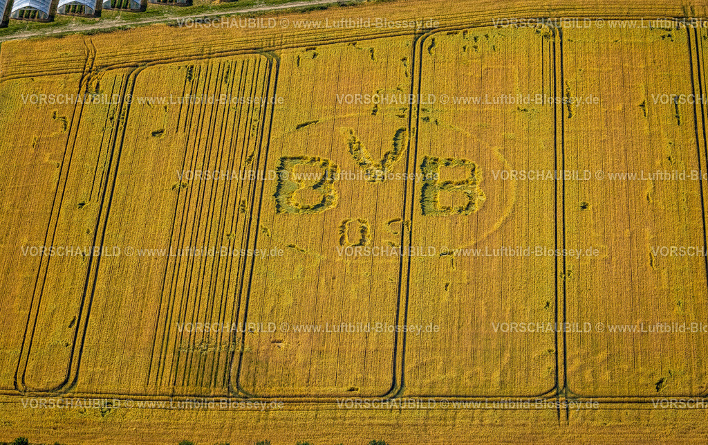 Dortmund230701937 | Luftbild, Symbole und Zeichen in einem Feld, BVB Logo, Bönninghauser Straße, Hostedde, Dortmund, Ruhrgebiet, Nordrhein-Westfalen, Deutschland