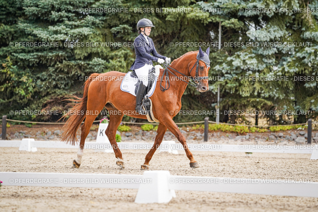 DSC03088 | Pferdegrafie