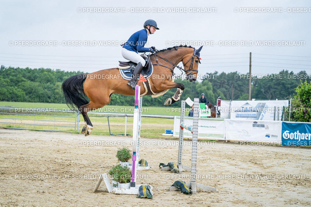 DSC01854 | Pferdegrafie