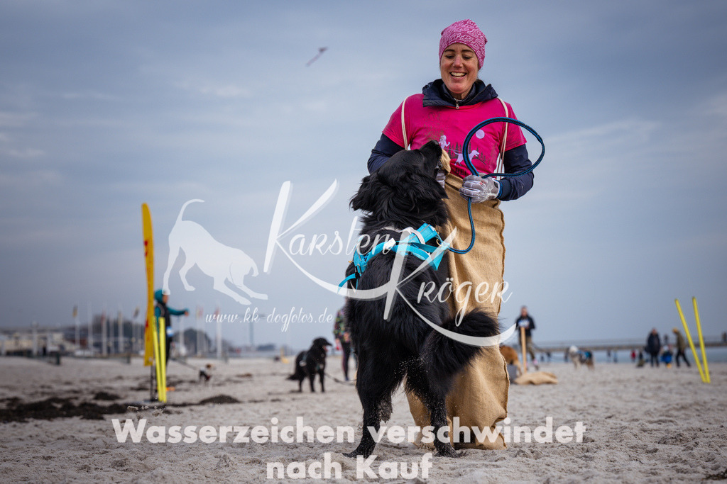 1251_ZZ96363 | kk-dogfotos