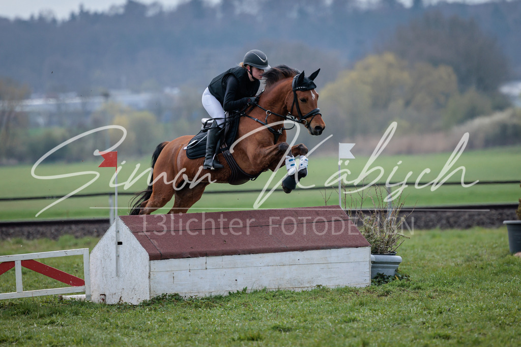 20260329-_3LI4704 | Tierfotografie Pferde, Hunde, Katzen, Haustiere.
Turnierfotografie Reitturniere, Reiten, Springreiten, Dressur in Hanau, dem Main-Kinzig-Kreis und dem Rhein-Main- Gebiet um Frankfurt