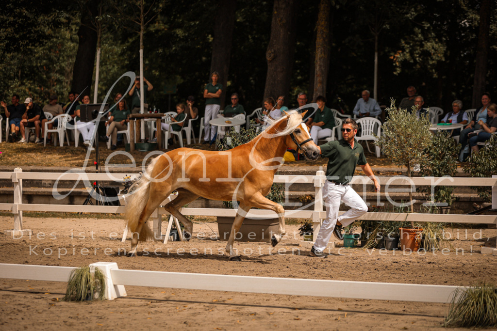 06.So00018 | Leoni Ertmer Photography - Realisiert mit Pictrs.com