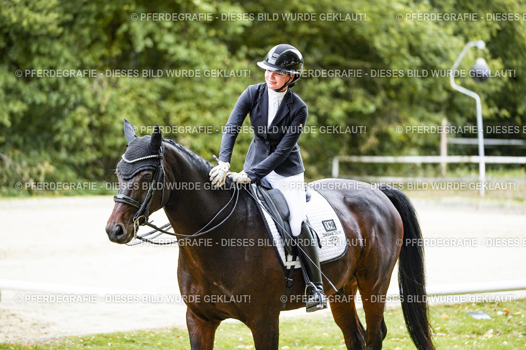 DSC09219 | Pferdegrafie