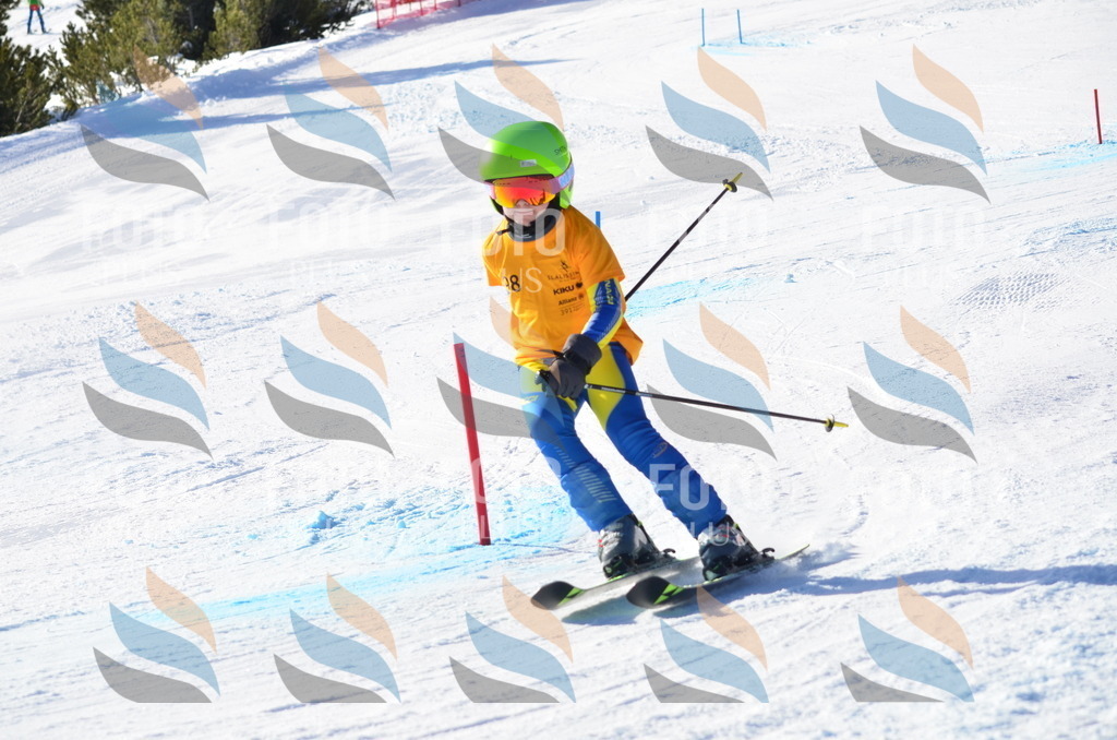 C6162 | holidayphoto