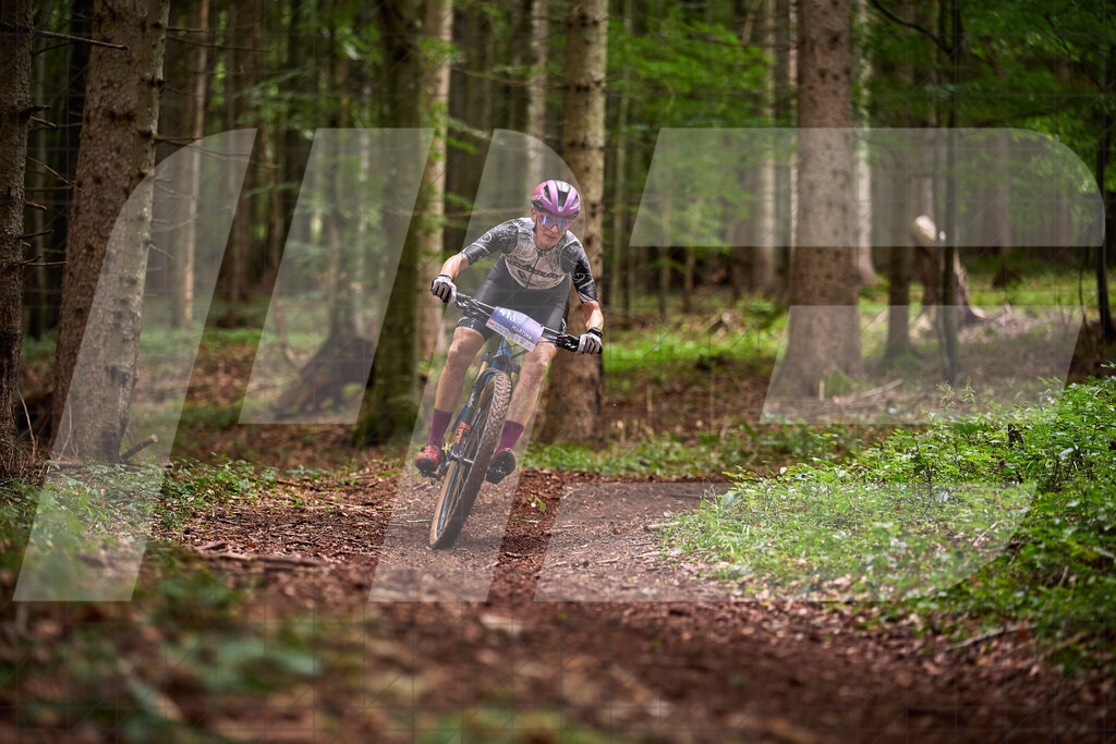 Betriebszentrum Laubenbachmühle, Frankenfels, Österreich - 13. September 2025: Dirndltal Race - Fun und Trophy RaceFotograf: Martin Bihounek / martinbihounek.com | 13. September 2025 Betriebszentrum Laubenbachmühle, Frankenfels, Österreich : Dirndltal Race - Fun und Trophy Race •••••Photo by: Martin Bihounek / martinbihounek.comInsta: @martinbihounekcom