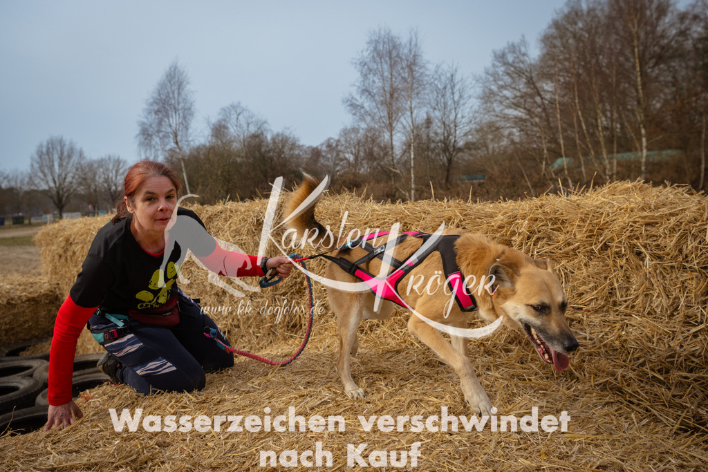 1133_ZZ94361 | kk-dogfotos