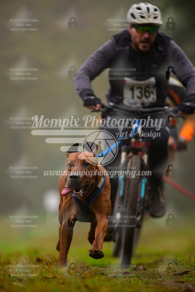 MompixPhotography_Bischwiller2025_Bike-50 | mompixphotography