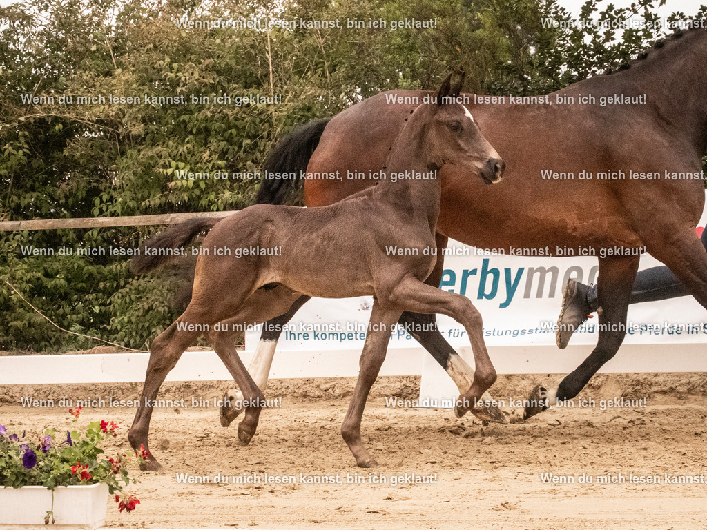 A10I1211 | photographylinaismer - Realisiert mit Pictrs.com