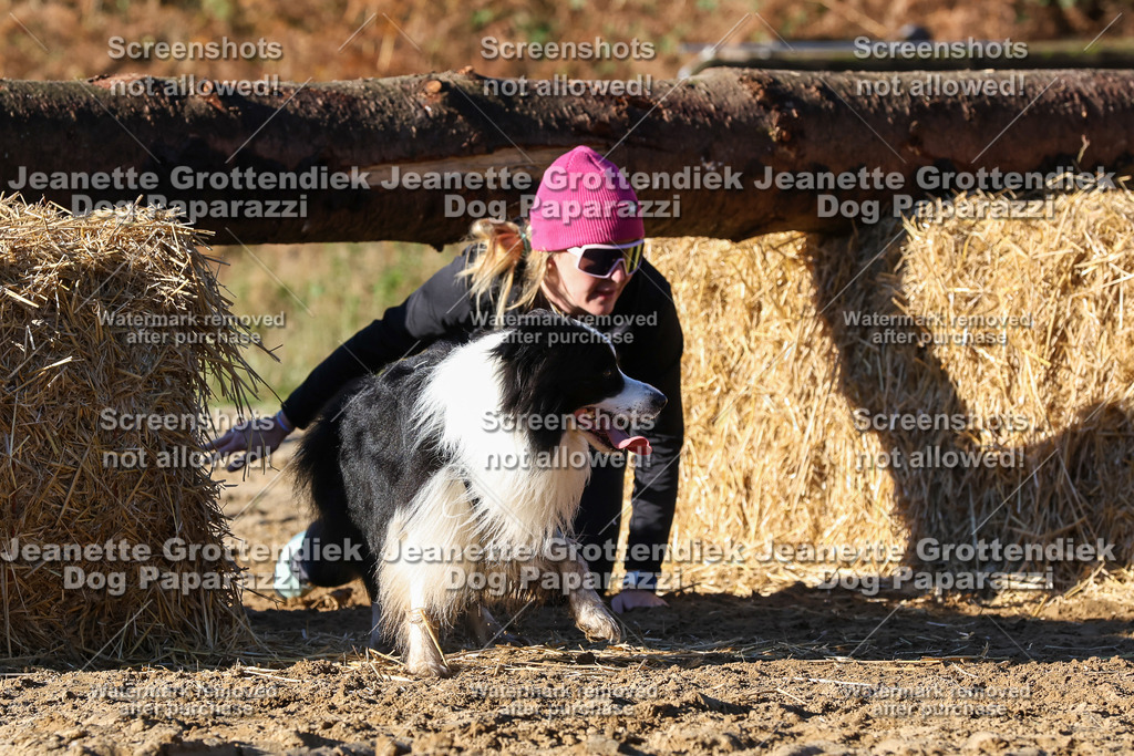Dog Paparazzi - Strongdog 10-25-1756 | Dog Paparazzi Jeanette Grottendiek Fotografie & Videografie - Realisiert mit Pictrs.com