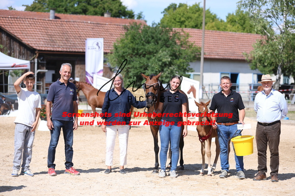 Fohlenschau_Schwäbisch_Hall_Ponys_SIEGERFOHLEN_KN 42_2 | lmwpictures - Realisiert mit Pictrs.com