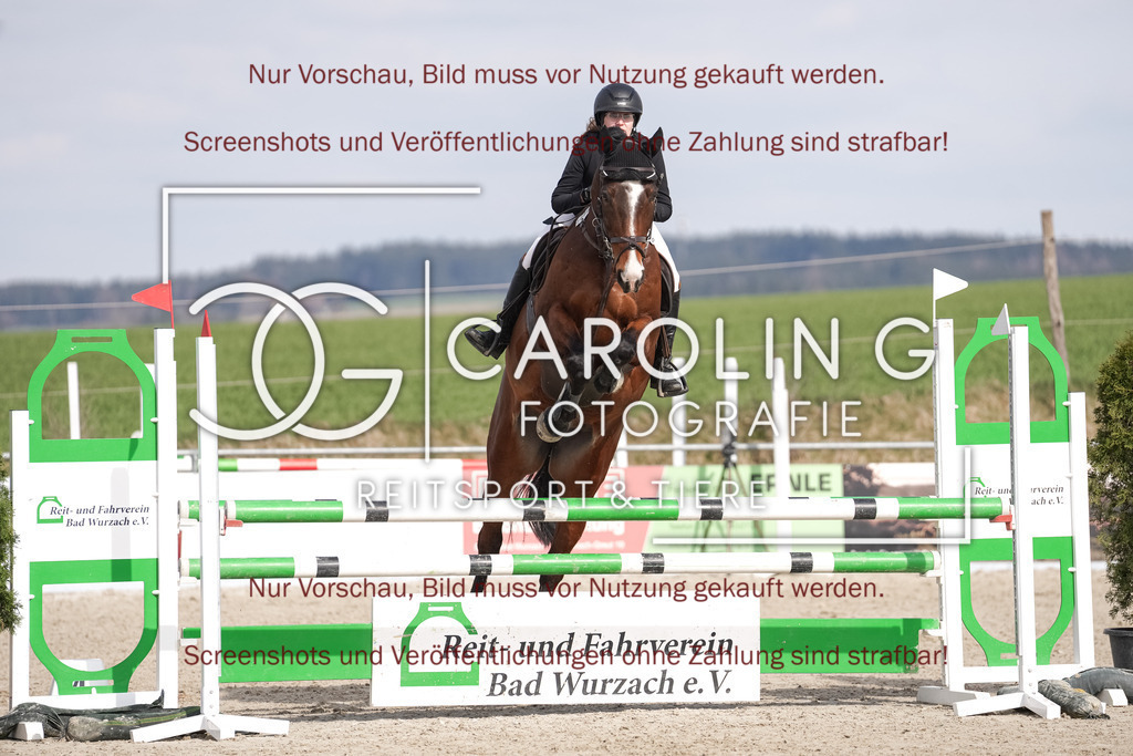 DSC06344 | Late_entry_Springturnier_Bad_Wurzach, Neugschwents_Caruso, Stefanie_Arnegger
