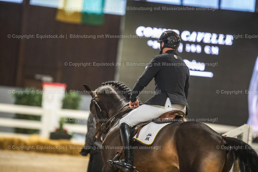 20240302_Hengstvorstellung_Marbach_TOMsPiC_0094 | equistock