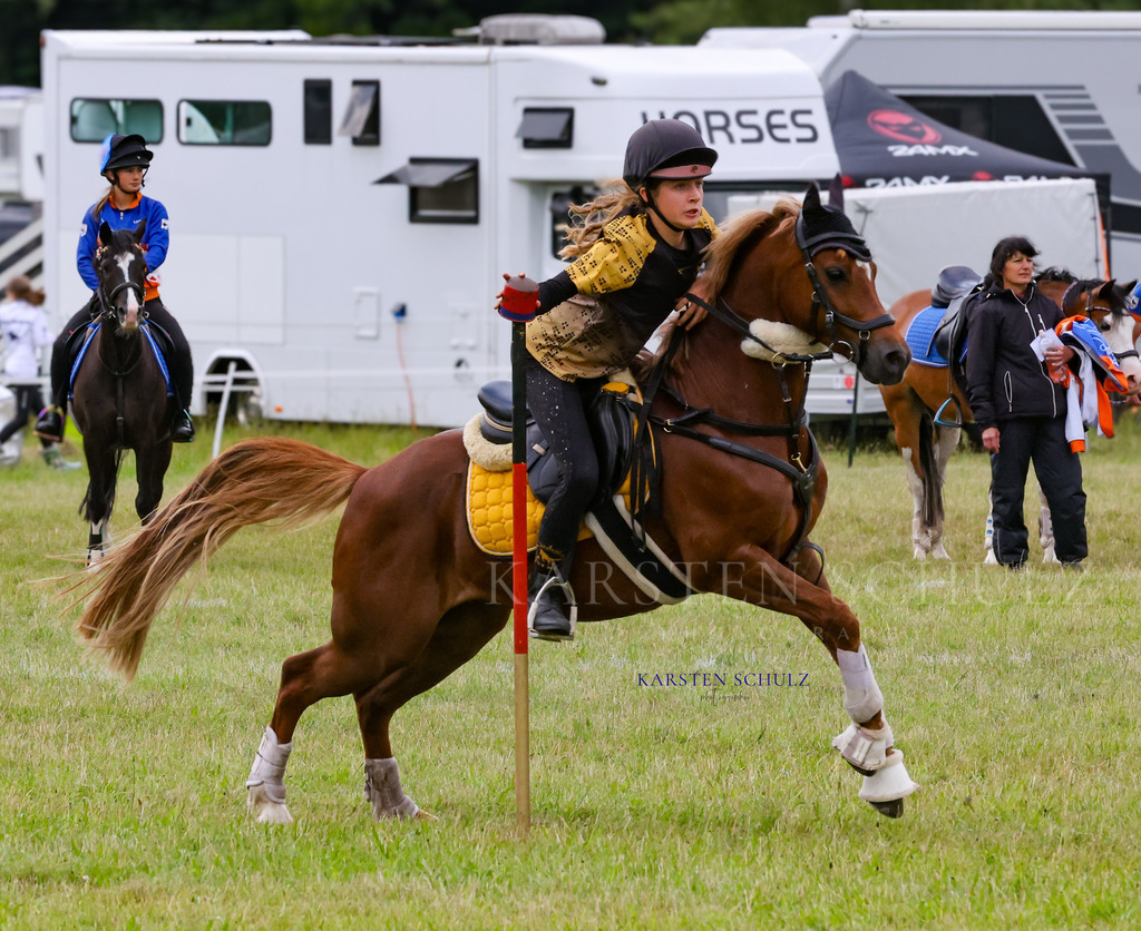 1B3A0995 | Reitsport Reiten