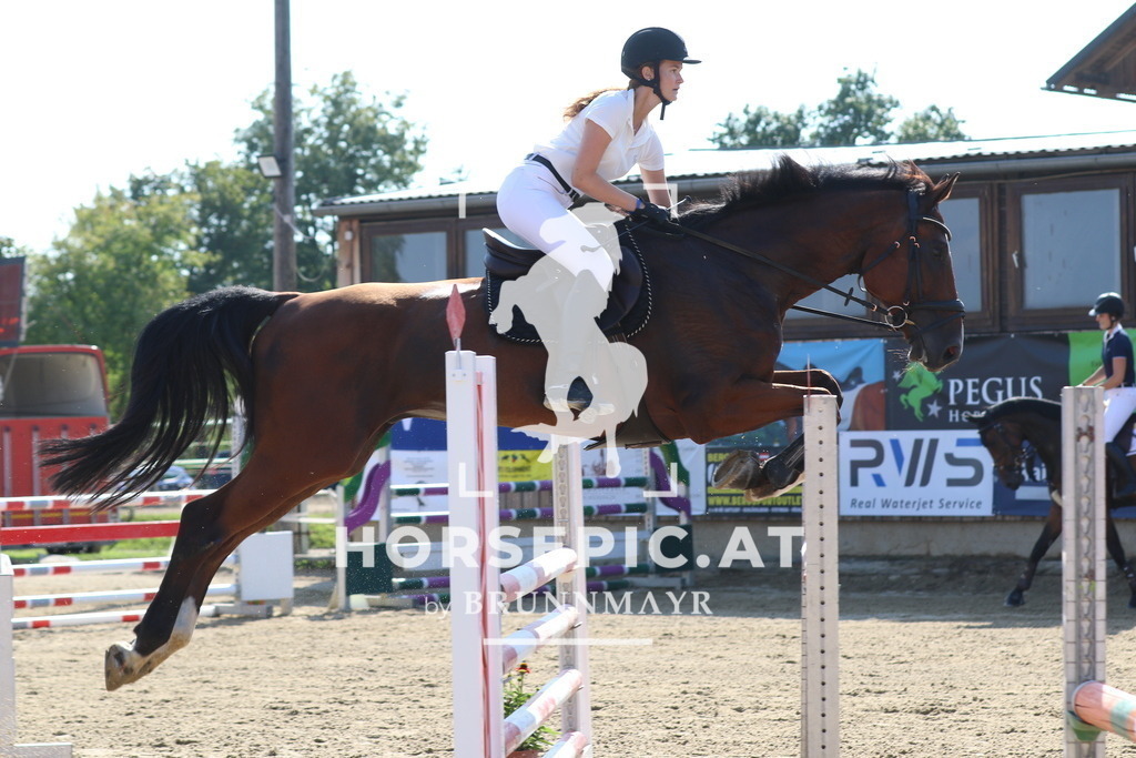7V2A3836 | Willkommen bei Brunnmayr - Design & Fotografie – Ihrem Spezialisten für Reitturniere und Pferdeveranstaltungen in Oberösterreich, Salzburg und Bayern! Seit über 17 Jahren sind wir leidenschaftlich dabei.