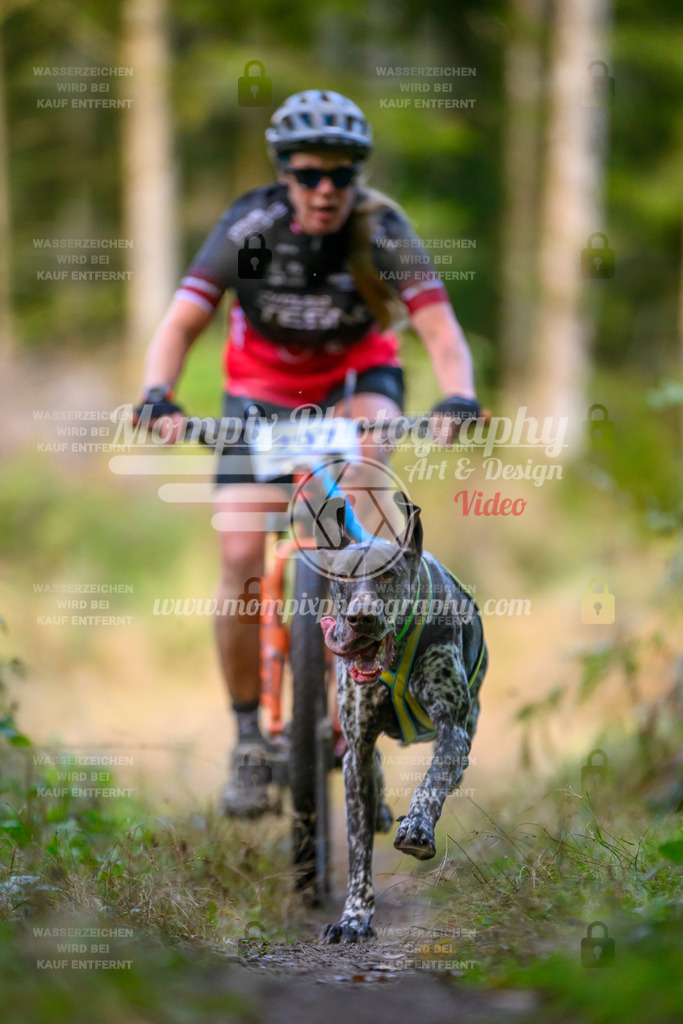 MompixPhotography_Yens2025_B3-30 | PayLife