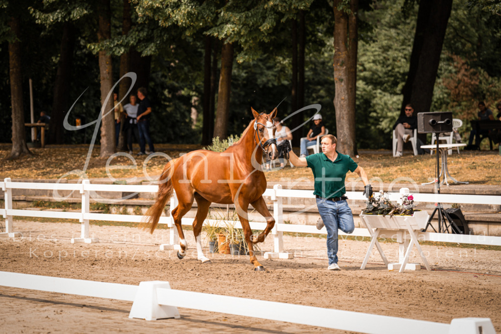 5.Fr00099 | Leoni Ertmer Photography - Realisiert mit Pictrs.com