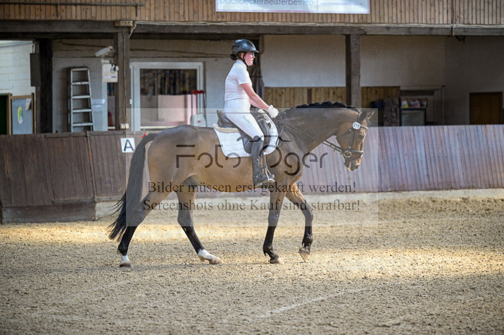 Reitturnier Voxtrup | Entdecke hochwertige Reitturnierfotos von Foto Oger. Professionell, emotional und authentisch – jetzt Lieblingsmomente im Shop bestellen.Deutschlandweite Turnierfotografie. - Realisiert mit Pictrs.com