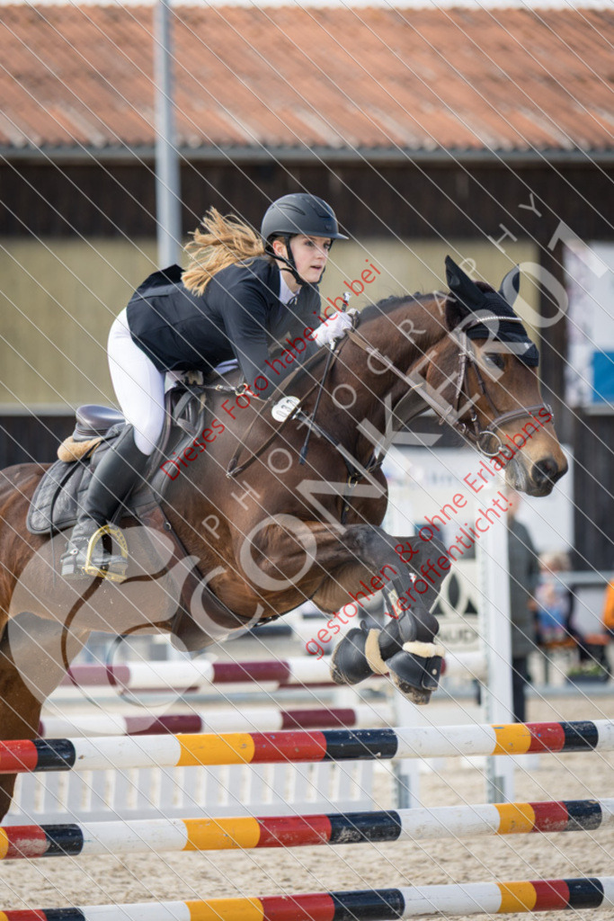 IMG_4415 | Sport-, Event- und Tierfotos in Profiqualität. Einfach auswählen, bestellen und herunterladen. Dein Moment – perfekt festgehalten.