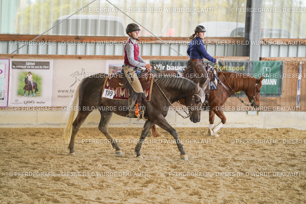 DSC08779 | Pferdegrafie