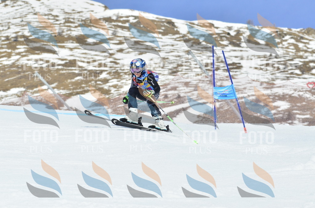 _ELE2606 | holidayphoto