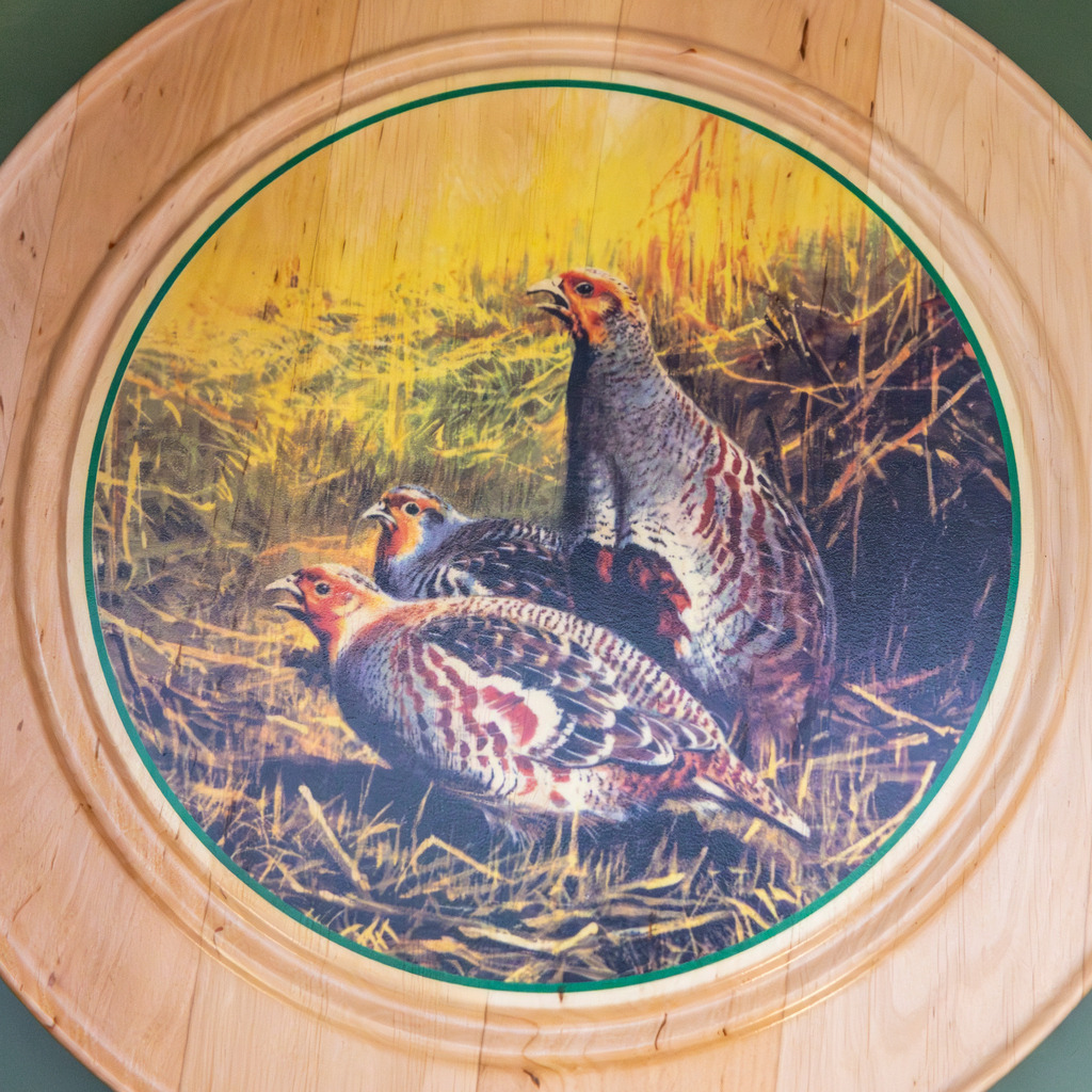 top-top.de 260412-016 | Foto, Video, Fotografie, Videografie, Fotobox, DJ, Discjockey, Musik, Musikbox, Veranstaltung, Photobooth, Amazon, Ebay, Buchtipp, Bestseller, Autor, Verlag, Buch, Wesel, Hamminkeln, NRW, Dinslaken, Rees, Drohne, Hochzeit, Party, Fotobox, Wesel, Fotograf