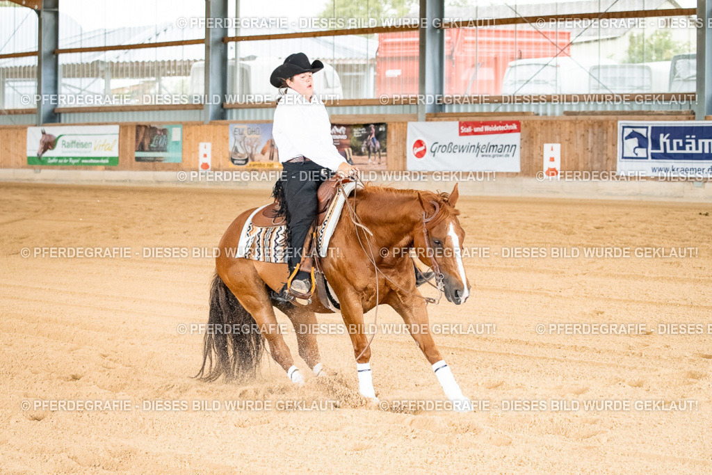 DSC02447 | Pferdegrafie