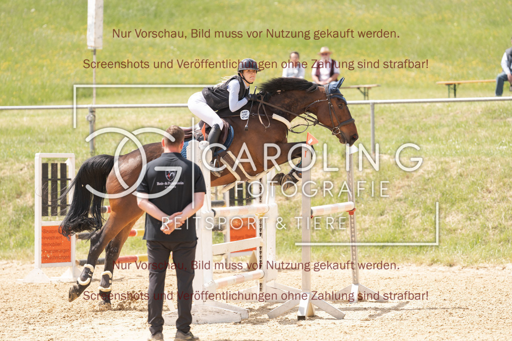 DSC06610 | Springturnier_Ehingen_Mai_2026, Luisa_Hoffmann, Cool_Cannon