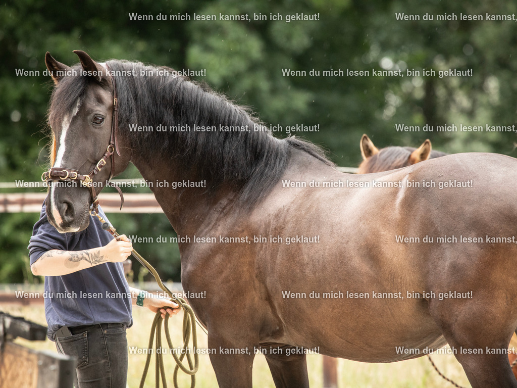 598A6005 | photographylinaismer - Realisiert mit Pictrs.com