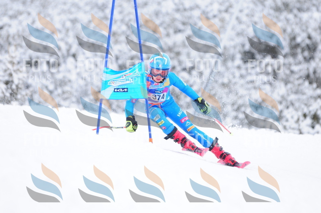 C3982 | holidayphoto