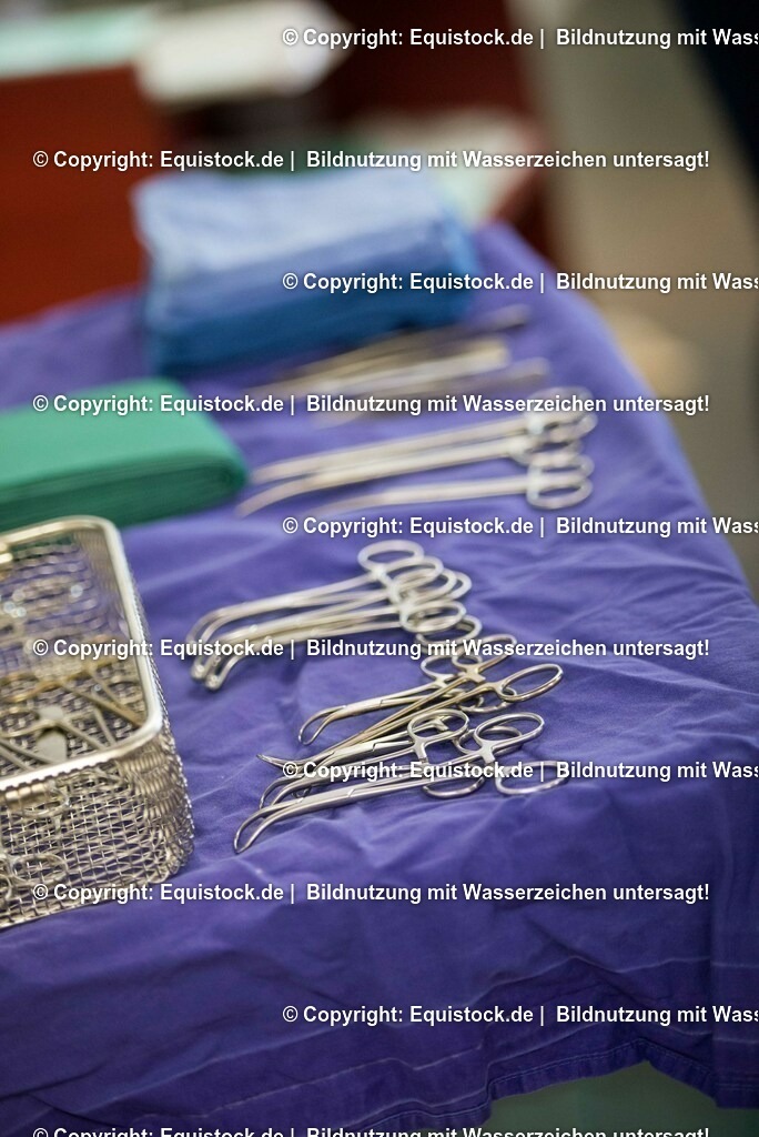 20160309_Sehnenschnitt_OP__0018 | equistock