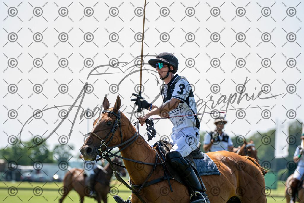 POL_2273 | andre_photographic