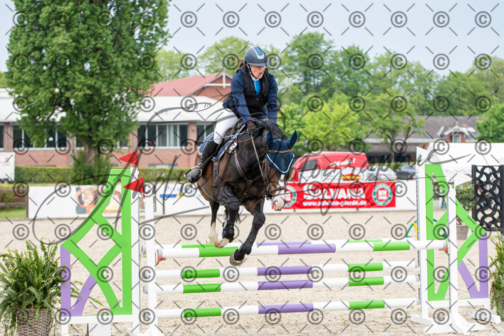 KPT_2851 | andre_photographic