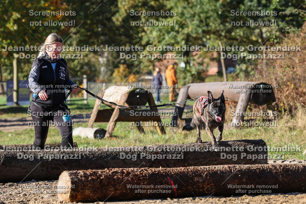 Dog Paparazzi - Strongdog 10-25-1691 | Dog Paparazzi Jeanette Grottendiek Fotografie & Videografie - Realisiert mit Pictrs.com