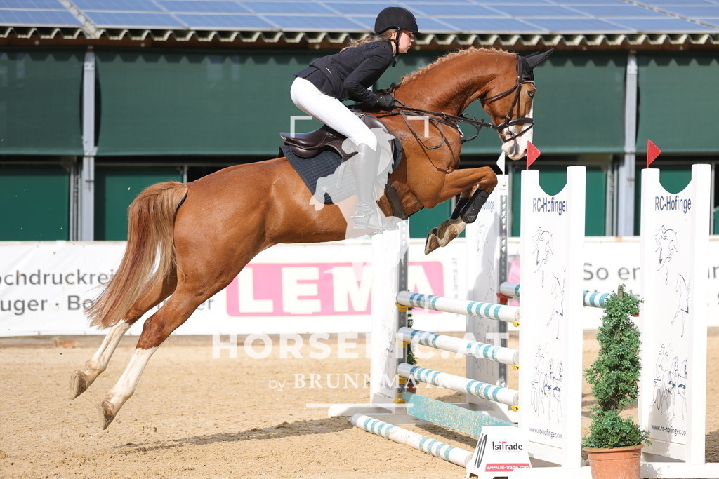 0P6A3349 | Willkommen bei Brunnmayr - Design & Fotografie – Ihrem Spezialisten für Reitturniere und Pferdeveranstaltungen in Oberösterreich, Salzburg und Bayern! Seit über 17 Jahren sind wir leidenschaftlich dabei.