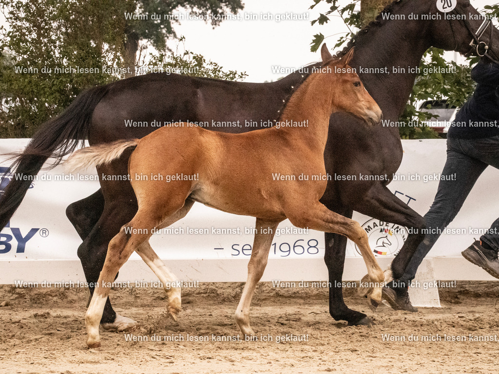 A10I1466 | photographylinaismer - Realisiert mit Pictrs.com