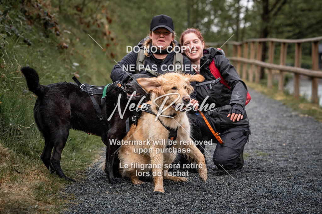 nelerasche_SaAbends_340 | nelerasche