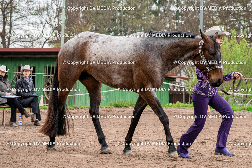 BA300115 | dv-media-shop - Realisiert mit Pictrs.com