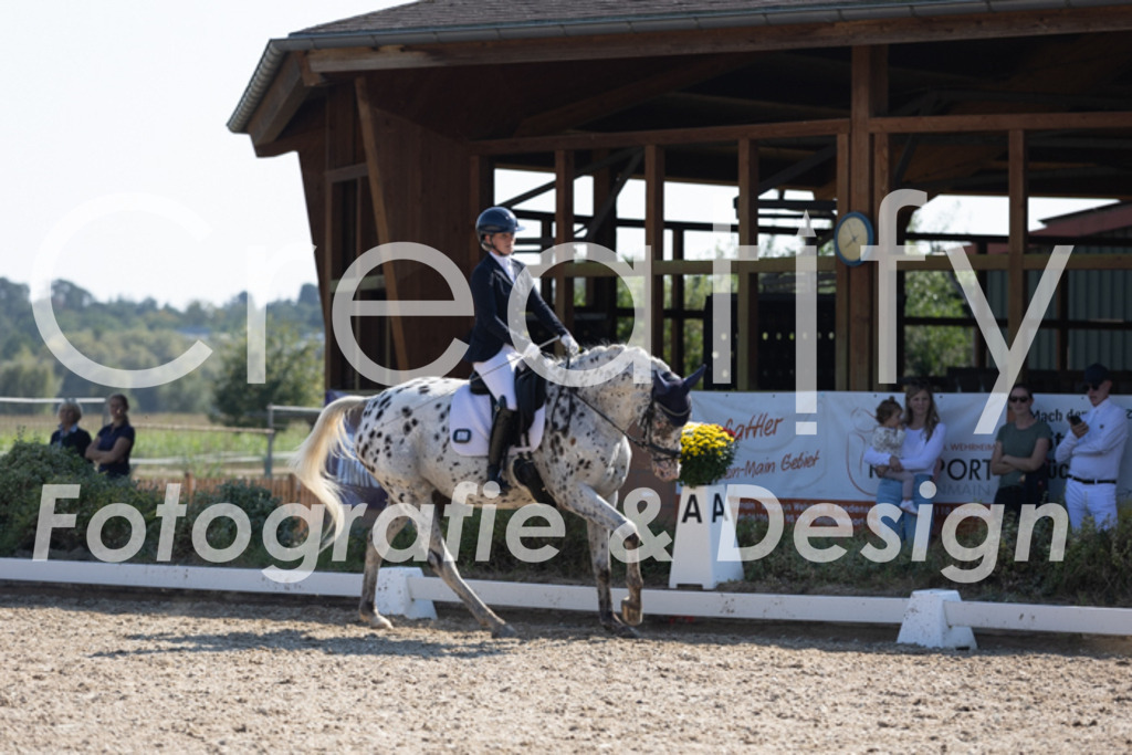 IMG_4645 | Creatify Fotografie