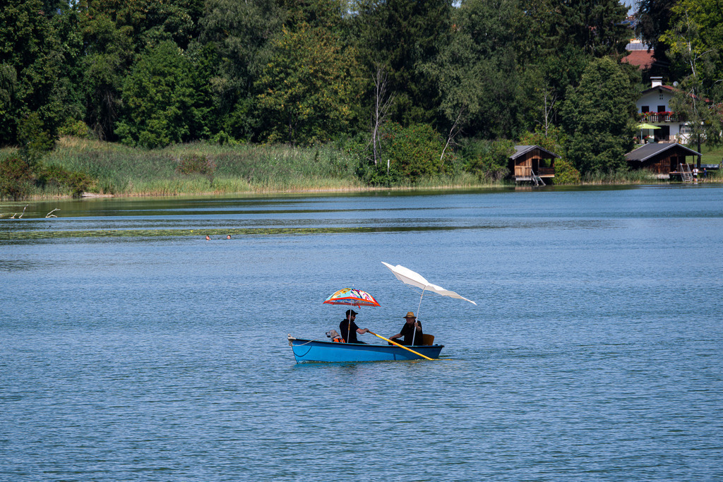 Sonnige Bootsfahrt am Staffelsee: Sommerglück auf dem Wasser | Ein Hauch von Sorglosigkeit liegt über dem ruhigen Wasser des Staffelsees nahe Murnau: Zwei Ausflügler ziehen in ihrem blauen Ruderboot gemütlich über den See, begleitet von einem Hund. Geschützt von bunten Sonnenschirmen genießen sie die sommerliche Wärme und den sanften Wellengang. Im Hintergrund bilden dichte grüne Wälder, Reet und idyllische Boothäuser die perfekte Kulisse für diesen Entspannungsmoment im Blauen Land. Eine Aufnahme voller Lebensfreude, Leichtigkeit und oberbayerischer Sommeridylle. - Realisiert mit Pictrs.com