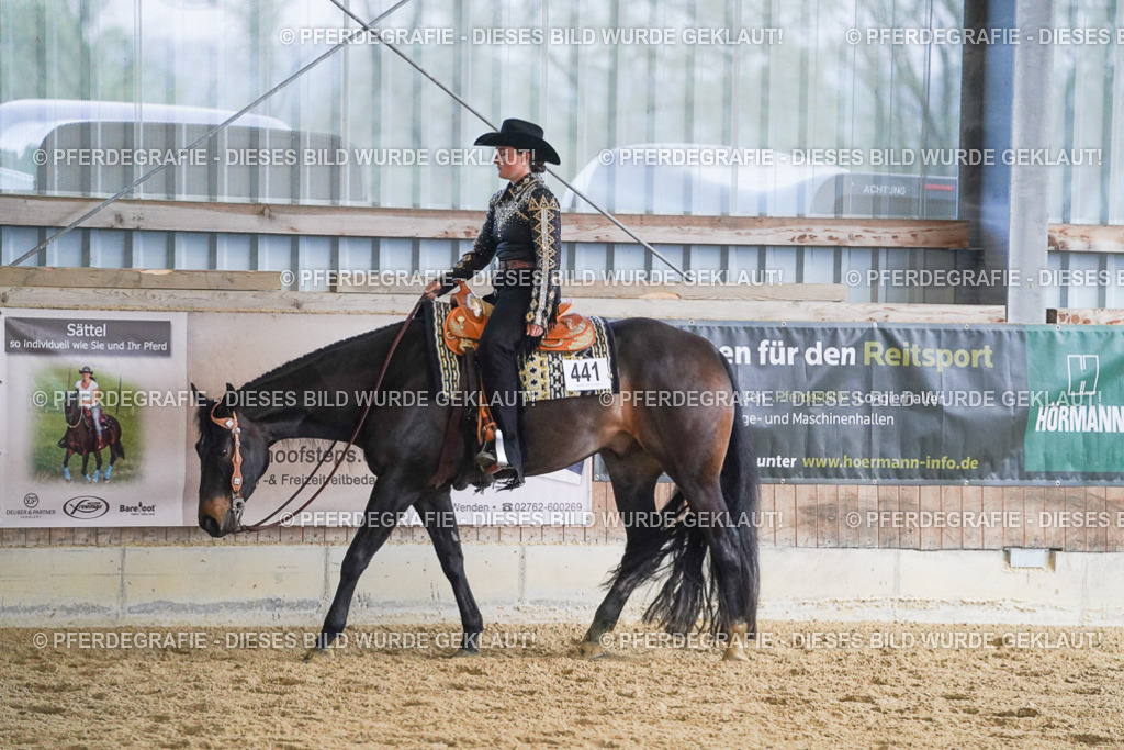 DSC08954 | Pferdegrafie