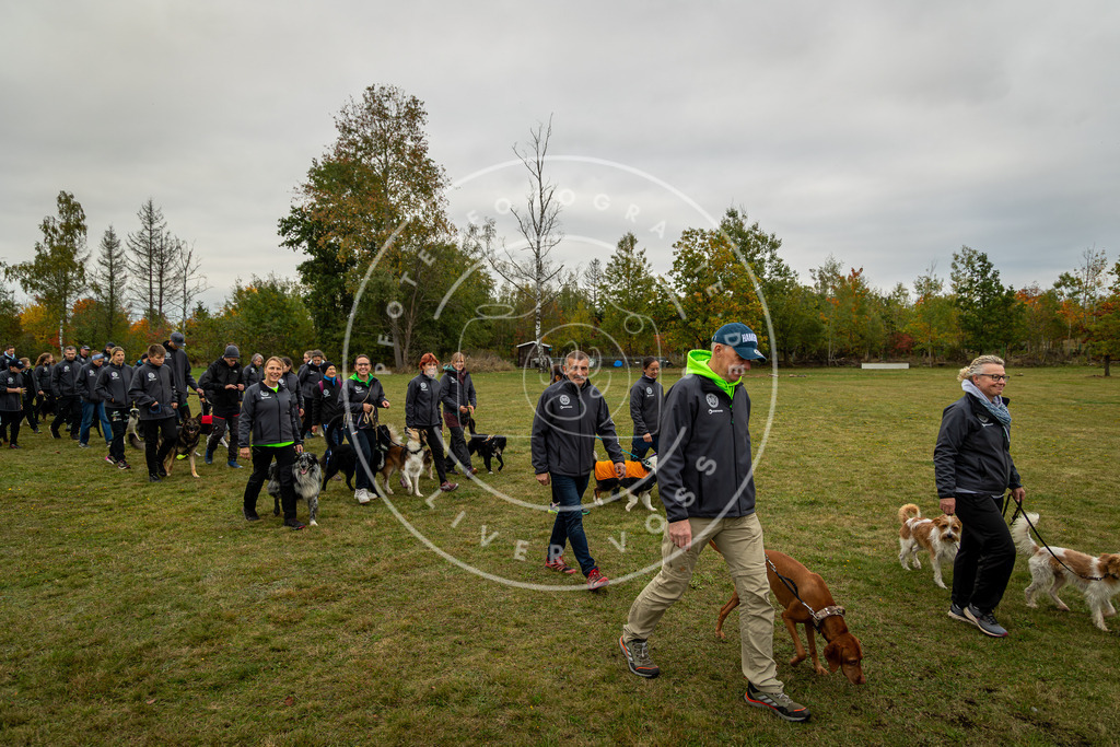 Pfotenfotografie_0L8A0220 | Hundefotografie, Tierfotograf, Pfotenfotografie, Fotoshooting Hund, Hunde Portrait, Hundesport, Hundeportraits, Heideshooting, Hunde, Sportfotograf, Hundefotograf, Turnierhundsport, THS,  - Realisiert mit Pictrs.com